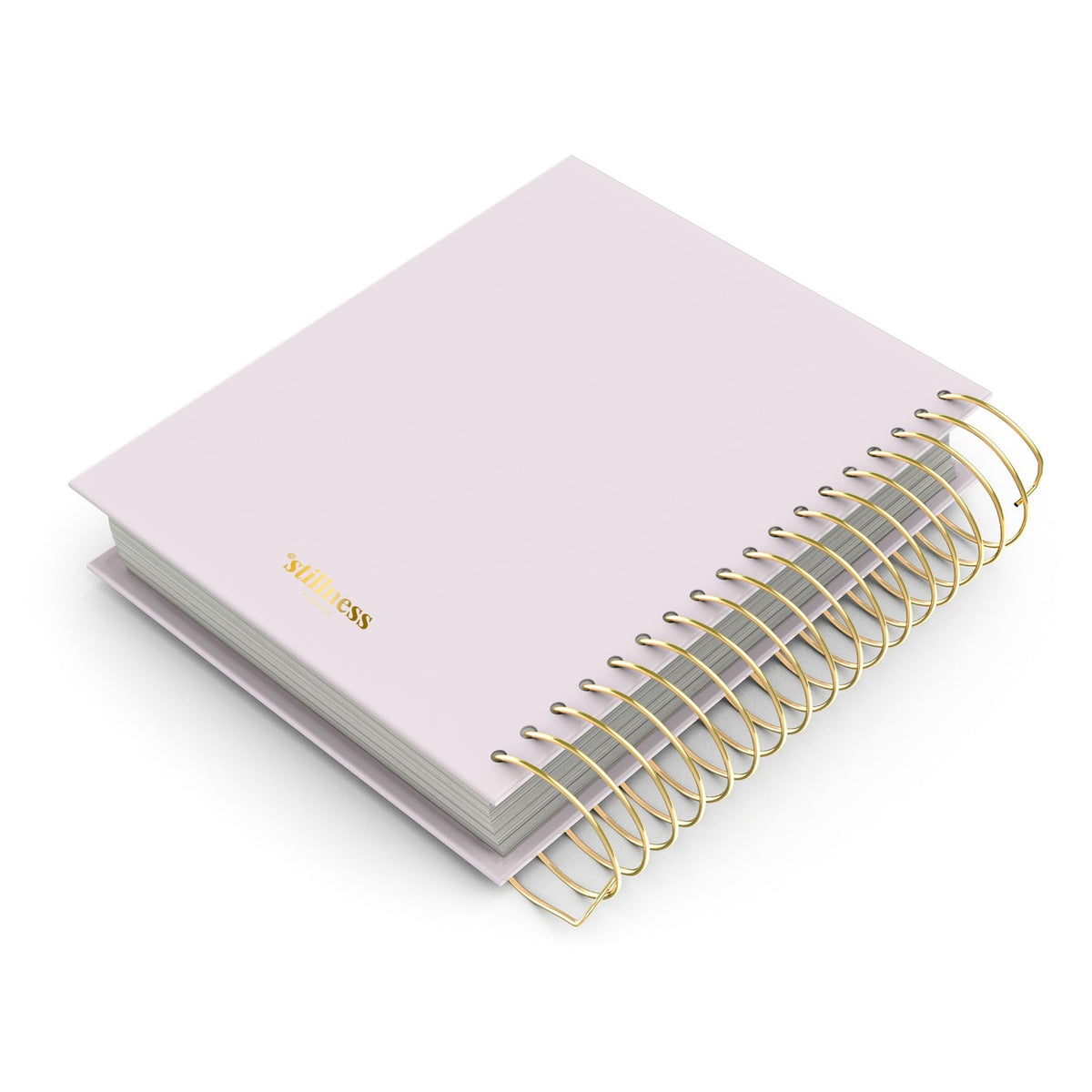 Client Appointment & Finance Planner Hard Copy