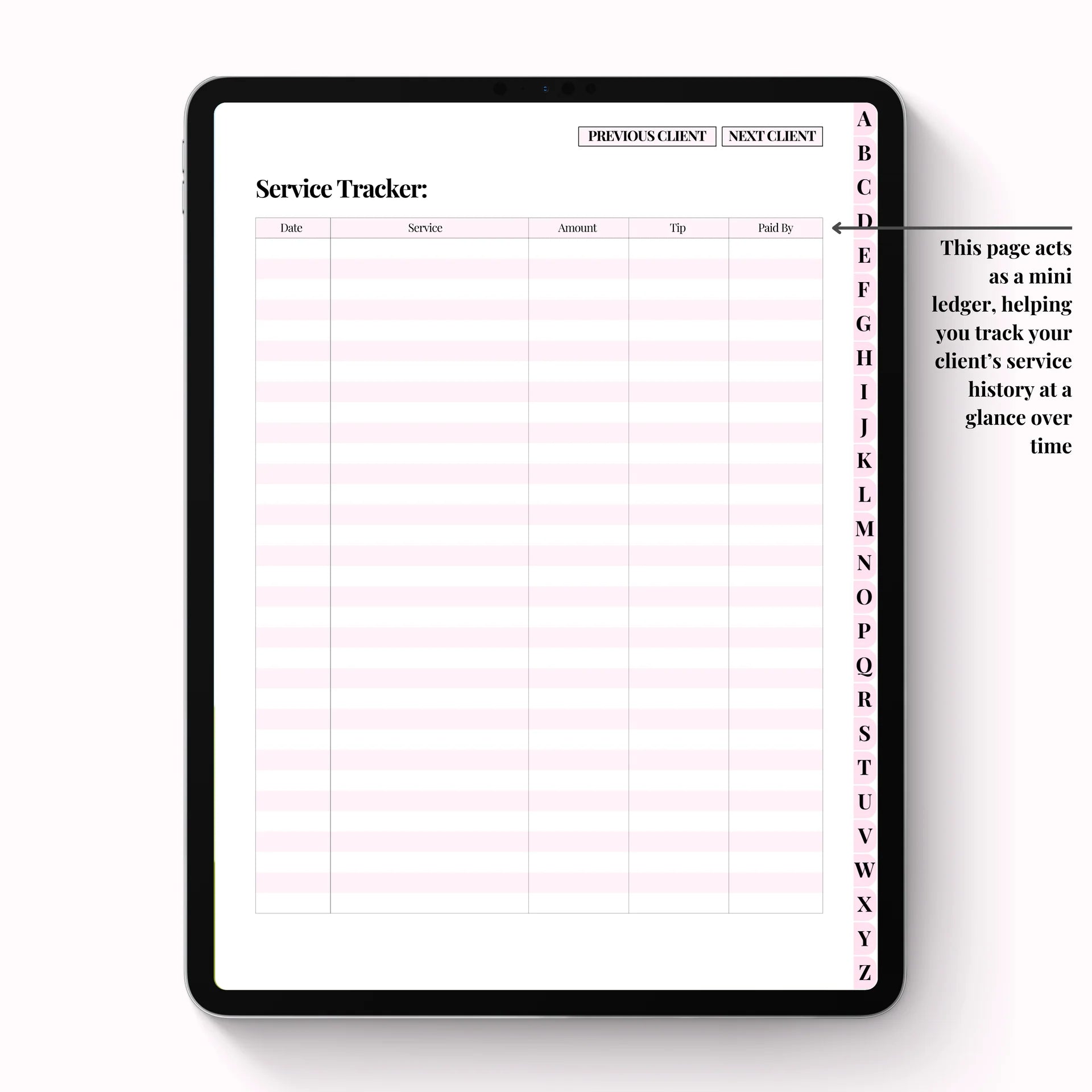 Lash Client Record Book