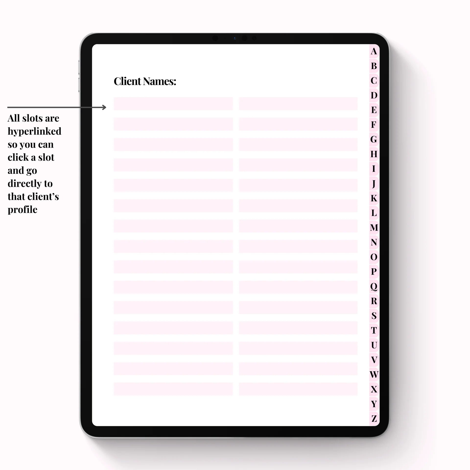 Lash Client Record Book